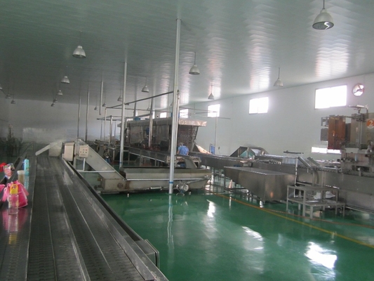 Τεχνολογία 10000 KG γραμμή παραγωγής μεταλλικού νερού για μεγάλης κλίμακας παραγωγή