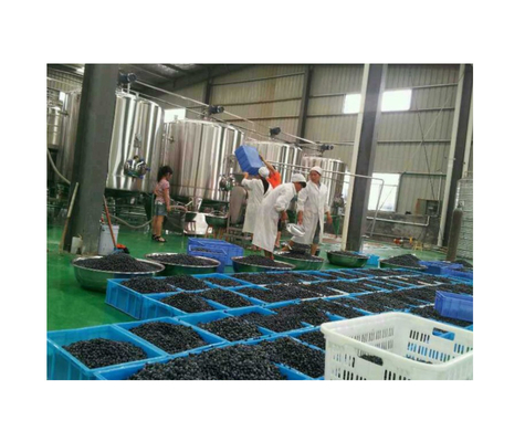 Ακριβότητα πλήρωσης 100% Μηχανήματα ποτών πλαστική/SUS304 γραμμή παραγωγής υλικού ζώνης