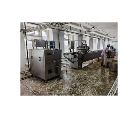 8000 KG εργοστάσιο επεξεργασίας παγωτού λουλουδιού ολοκληρωμένο έργο με state-of-the-art μηχανές